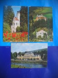 HOPCT LOT 2838 VATRA DORNEI -JUD SUCEAVA - 3 CARTI POSTALE-CIRCULATE, Circulata, Printata