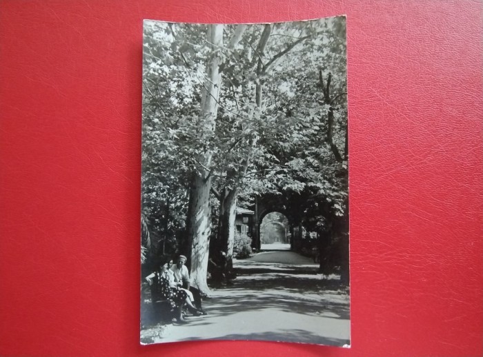 CARTE POSTALA - RPR - BUZIAS - VEDERE DIN PARC