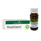 PLE Plantagingival, igiena orala, 10 ml, Plantextrakt