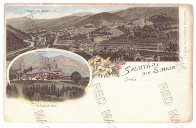 2588 - SINAIA, Prahova, Monastery, Litho, Romania - old postcard - unused foto