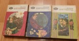 David Copperfield de Charles Dickens (3 vol.) Colectia BPT