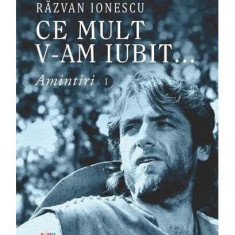 Ce mult v-am iubit... Amintiri (Vol. I) - Paperback brosat - Răzvan Ionescu - Creator
