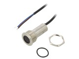 Comutator Anti-Vandalism SPST-NO 24V IP65