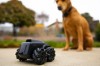 Drona de supraveghere, animale de companie, Camera AI