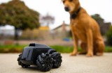 Drona de supraveghere, animale de companie, Camera AI