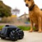 Drona de supraveghere, animale de companie, Camera AI