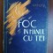 Foc in hanul cu tei vol.2- I.Peltz
