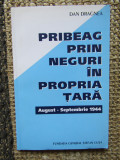 DAN DRAGNEA - PRIBEAG PRIN NEGURI IN PROPRIA TARA. aug, -sep. 1944