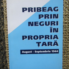 DAN DRAGNEA - PRIBEAG PRIN NEGURI IN PROPRIA TARA. aug, -sep. 1944