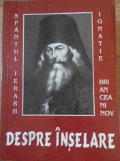 DESPRE INSELARE-IGNATIE BRIANCIANINOV-262819 foto