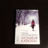 Monsieur Karenin - Vasna Goldsworthy