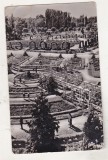 bnk cp Timisoara - Vedere din Parcul de cultura si odihna Stefan Plavat - uzata