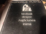 MEDITATII DESPRE RUGACIUNEA INIMII - COMORILE PUSTIEI, EDITURA ANASTASIA 215P