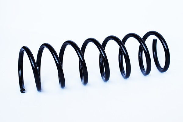 Arc Suspensie Spate 65902 SR.052
