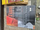 Timișoara literară vintage