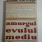AMURGUL EVULUI MEDIU -JOHAN HUIZINGA