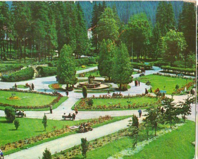 CPI B14981 - CARTE POSTALA - BORSEC. PARCUL CENTRAL foto