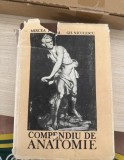 Compendiu de ANATOMIE