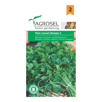 Seminte legume patrunjel frunze Plain leaved 2 A foto