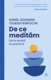 De ce meditam - Daniel Goleman, Tsoknyi Rinpoche - Curtea Veche