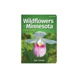Wildflowers of Minnesota Field Guide