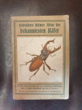 Schreibers kleiner Atlas der bekannsten Kafer