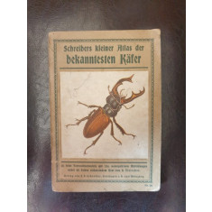 Schreibers kleiner Atlas der bekannsten Kafer