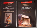 Dumitru Constantin Dulcan, &Icirc;n căutarea sensului pierdut, 2 vol.