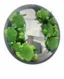 Oglinda decorativa rotunda cu muschi, licheni si plante criogenate, 51 cm (Verde), Eventissimi&reg;