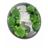 Oglinda decorativa rotunda cu muschi, licheni si plante criogenate, 51 cm (Verde)