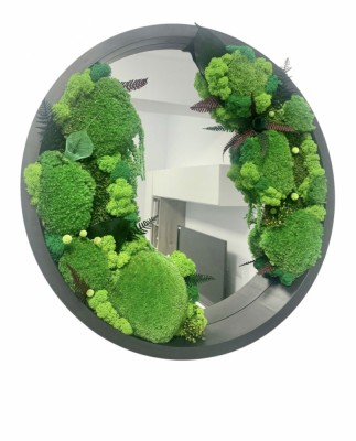 Oglinda decorativa rotunda cu muschi, licheni si plante criogenate, 51 cm (Verde) foto