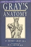 GRAY&#039;S ANATOMY. ANATOMY DESCRIPTIVE AND SURGICAL-HENRY GRAY-219283