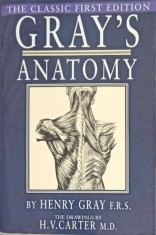 GRAY&#039;S ANATOMY. ANATOMY DESCRIPTIVE AND SURGICAL-HENRY GRAY-287672
