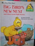 Big bird&#039;s new nest - Justine Korman