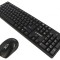 Kit Birou Negru USB A Wireless Layout US 10m