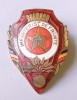 INSIGNA INFANTERIST DE FRUNTE SERIA 18109 INFANTERIE ARMATA MINISTERUL APARARII FRUNTAS ( CITITI DESCRIEREA )