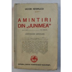 AMINTIRI DIN JUNIMEA - IACOB NEGRUZZI