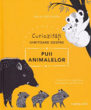 Curiozități uimitoare despre puii animalelor - Hardcover - Maja S&auml;fstr&ouml;m - Cartier