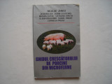 Ghidul crescatorului de porcine din microferme - Nicolae Zeneci, 2002, Alta editura