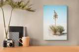 Tablou Canvas, "Solitar &icirc;n deșertul alb nesf&acirc;rșit", Deșert, Yucca, Cer, Nisip, Singurătate, Natură, Linie, Verde, Uscat, Solitar, Liniște, 26 x 39 cm,