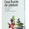 Ceai Fructe de Padure Alevia 20pl