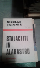 STALACTITE IN ALABASTRU-NICOLAE TATOMIR foto
