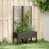 VidaXL Jardinieră de grădină cu spalier, maro, 80x40x142 cm, PP