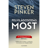 Felvil&aacute;gosod&aacute;s most - Steven Pinker