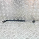 Amortizor capota st&acirc;nga față TESLA MODEL S 2017 OEM: 1062634-00-A 14336931