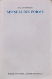 Sensuri din forme - 1996 - Iulian Popescu (AD253)