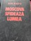 Foto  - 1