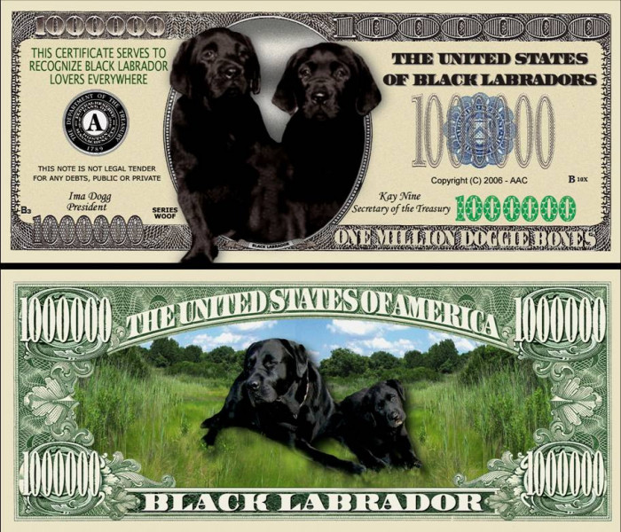 !!! SUA = FANTASY NOTE = BLACK LABRADOR - 2006 - UNC / SERIA CAINI , WOOF