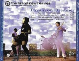 The Brand New Heavies Featuring N'Dea Davenport - Dream On Dreamer, CD