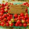 Rosii , tomate LITCHI - 5 seminte pentru semanat - raritate !!!!